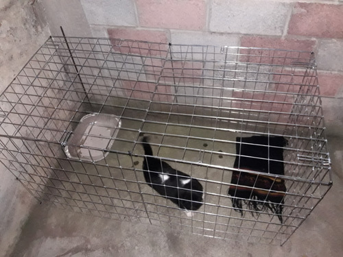 Corral Para Gatos Conejos 60cm Alto 8 Paneles Cerrado Black
