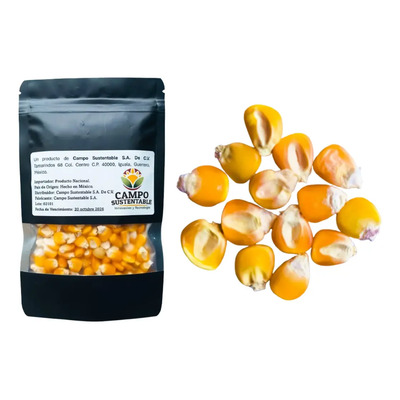 100 Semillas De Maiz Amarillo Autoctono Criollo Para Siembra | MercadoLibre