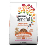 Beneful Cachorro 10.1 Kg Alimento Para Perro