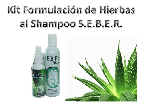 Shampoo Y Revitalizador Seber Para Problemas Capilares.