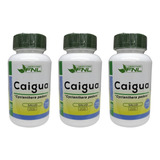 Caigua Pura Fnl 3 Frascos 180cap 3x60 300mg. Control De Peso