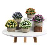 Set X6 Plantas Mini Artificiales Decorativas Interior Jardin