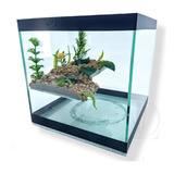 Terrario Cubo 20x20cm Plataforma Tartarugas Jabuti Aquario