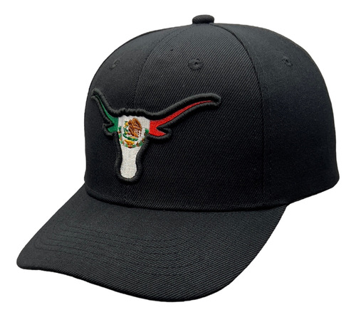 Gorra Curva Bordada Longhorns