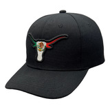 Gorra Curva Bordada Longhorns