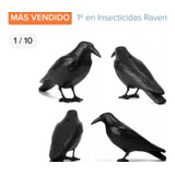 Espantapájaros Repele Raven 100% Cuervos 3 PegácoLGáclavá   