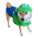 Disfraz Halloween De Perro, Mascota. Luigi Mediano, Verde