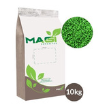 Sementes De Gramas Batatais Incrustada 10 Kg 