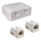 Roseta Doble Rj45 Con Jack Cat6 Red Utp Pared Prosoft