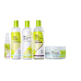 Kit Deva Curl Hidratante - 5 Produtos