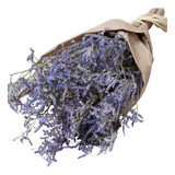 Flores Secas: Ramo De Limonium