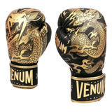 Dragon's Flight Boxing Gloves