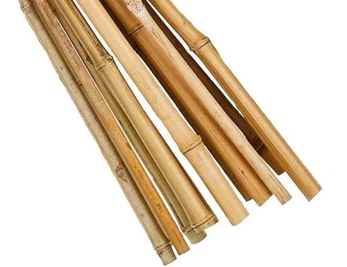 25 Varas De Bambú Seco Tutores Para Plantas Cultivo 150cm A