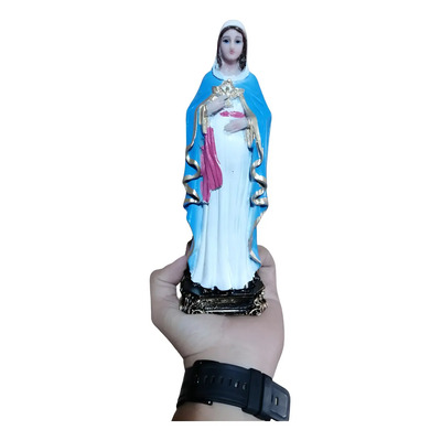 Virgen De La Dulce Espera O Esperanza 20 Cm De Resina Publicado