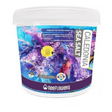 Sal Marinho Reeflowers Caledonia Sea Salt 22,5kg Uso Aquario