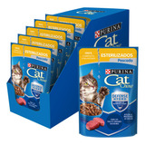 Pouch Sobres Gato Esterilizado Cat Chow X15 U