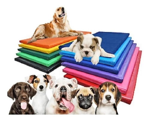 Colchonete Petlife Cores 70x50cm Impermeável Caminha Cães