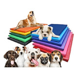 Colchonete Petlife Cores 70x50cm Impermeável Caminha Cães