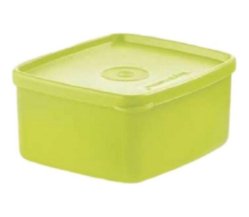  Practifreezee Tupperware 500ml.