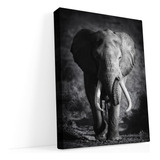 Cuadro Moderno Canvas, Elefante Blanco Y Negro 120x70cm