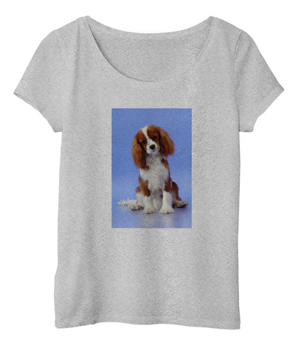 Remera Mujer Perros 3 Cachorro Pitbull Frente