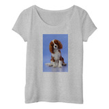 Remera Mujer Perros 3 Cachorro Pitbull Frente