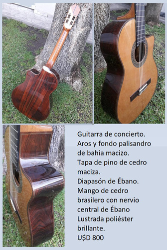 Guitarra De Concierto