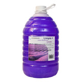 Limpiador Desinfectante Multiusos Varios Aromas 5l