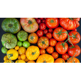 Pack De Semillas Orgánicas De Tomates Alta Germinación