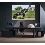 Vinilo Decorativo 60x90cm Caballo Negro Animales Belleza