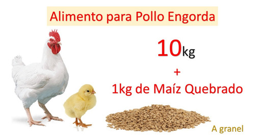 Alimento Para Pollo De Engorda + Regalo