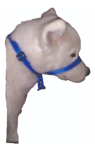 Collar Antijalones Para Perros Estilo Gentle Leader 