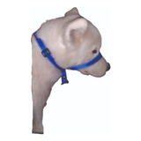 Collar Antijalones Para Perros Estilo Gentle Leader 