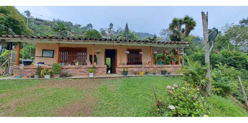 Vendo Casa Finca Fredonia Antioquia