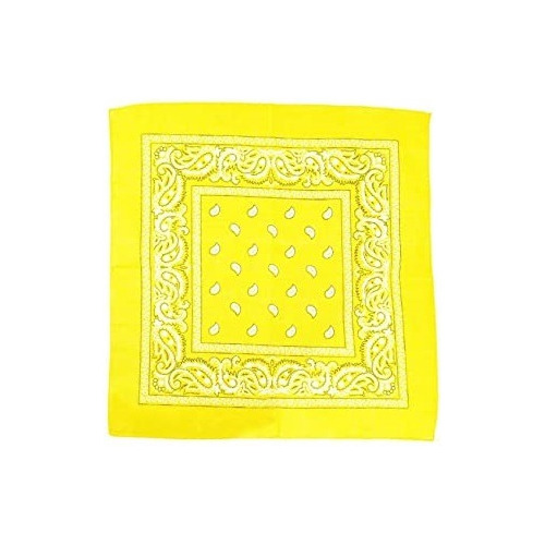 Paliacates Pañuelos Bandanas