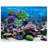 Póster Acuario Coral Marino Pvc (91x41cm)