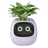 Maceta Robot Con Inteligencia Artificial Plant Ivy Púrpura