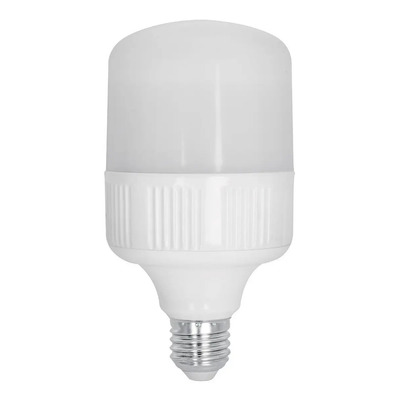 Foco Led Alta Potencia 20 W Voltech 46225 Color De La Luz Blanco
