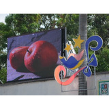 Pantalla Led Outdoor P10 Full Color Full Video