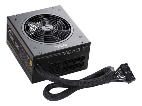 Fuente De Poder Evga 750 Gq Modular 80 Plus Gold Psu