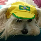 Boné Pet Brasil Copa Chapéu Para Cães E Gatos