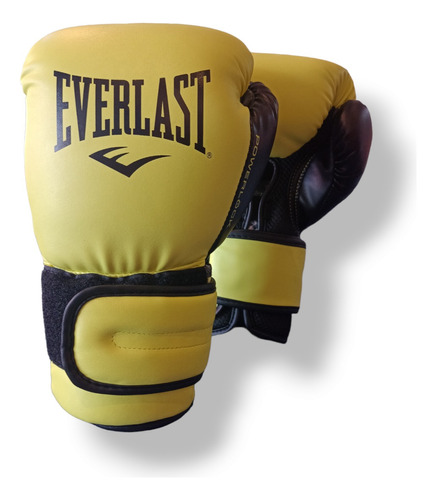 Guantes Boxeo Everlast Powerlock Training Gloves + Funda