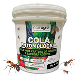 Cola Entomológica 10kg Armadilha Insetos Agriculturaorgânica