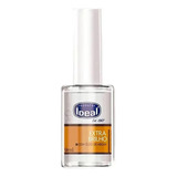 Esmalte Extra Brilho Mega Com Óleo De Argan Ideal 9ml