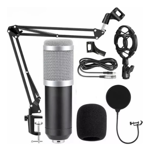 Microfono Profesional Condesador Condenser Brazo Articulado 