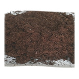 Peat Moss Sustrato Musgo Sphagnum (10 Kg)