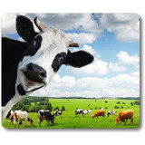 Mouse Pad Smooffly Diseno Vacas Grande Goma 240x200mm