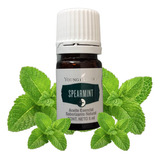 Young Living Hierbabuena Plus 5ml