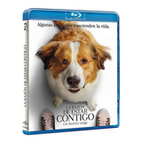 La Razon De Estar Contigo Un Nuevo Viaje Pelicula Blu-ray