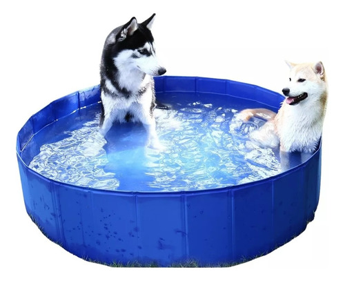 Piscina Para Mascotas Ducha Perros Mascotas Resistente 100cm